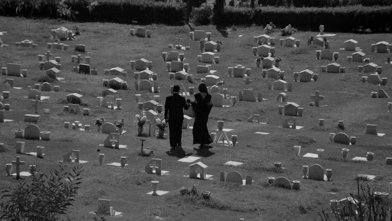 The Charming Mr. Brambila backdrop