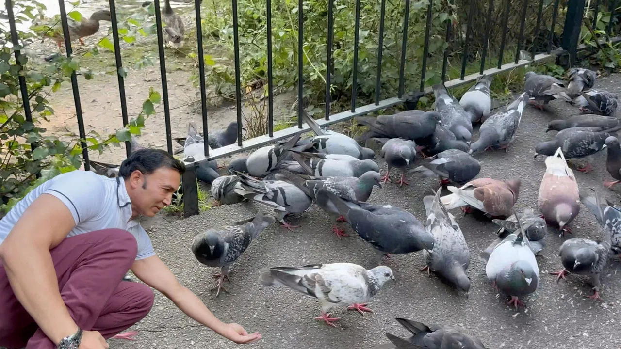 Manor Park Aldershot backdrop