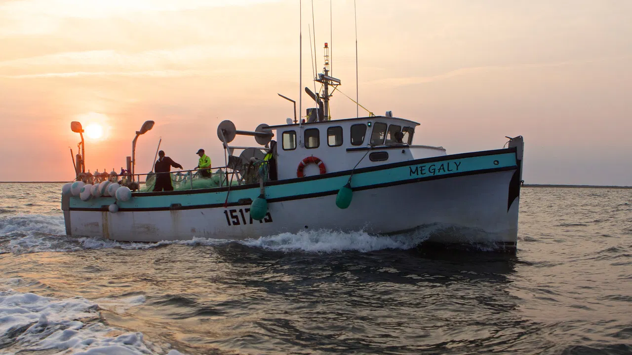 La pêche maudite backdrop