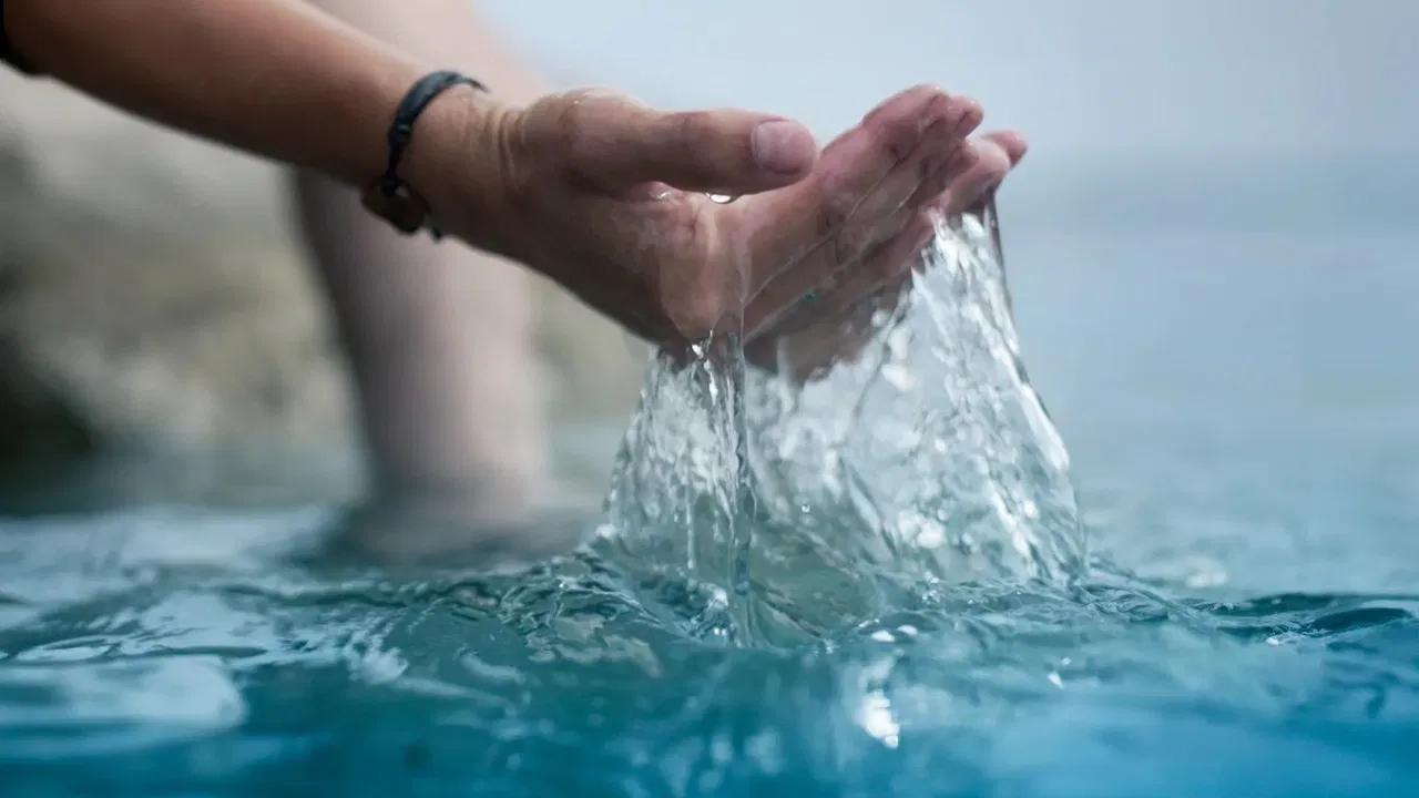 The Water Guardians backdrop