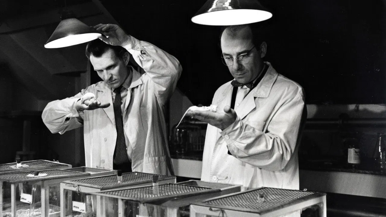 Mykoin PH 510 backdrop