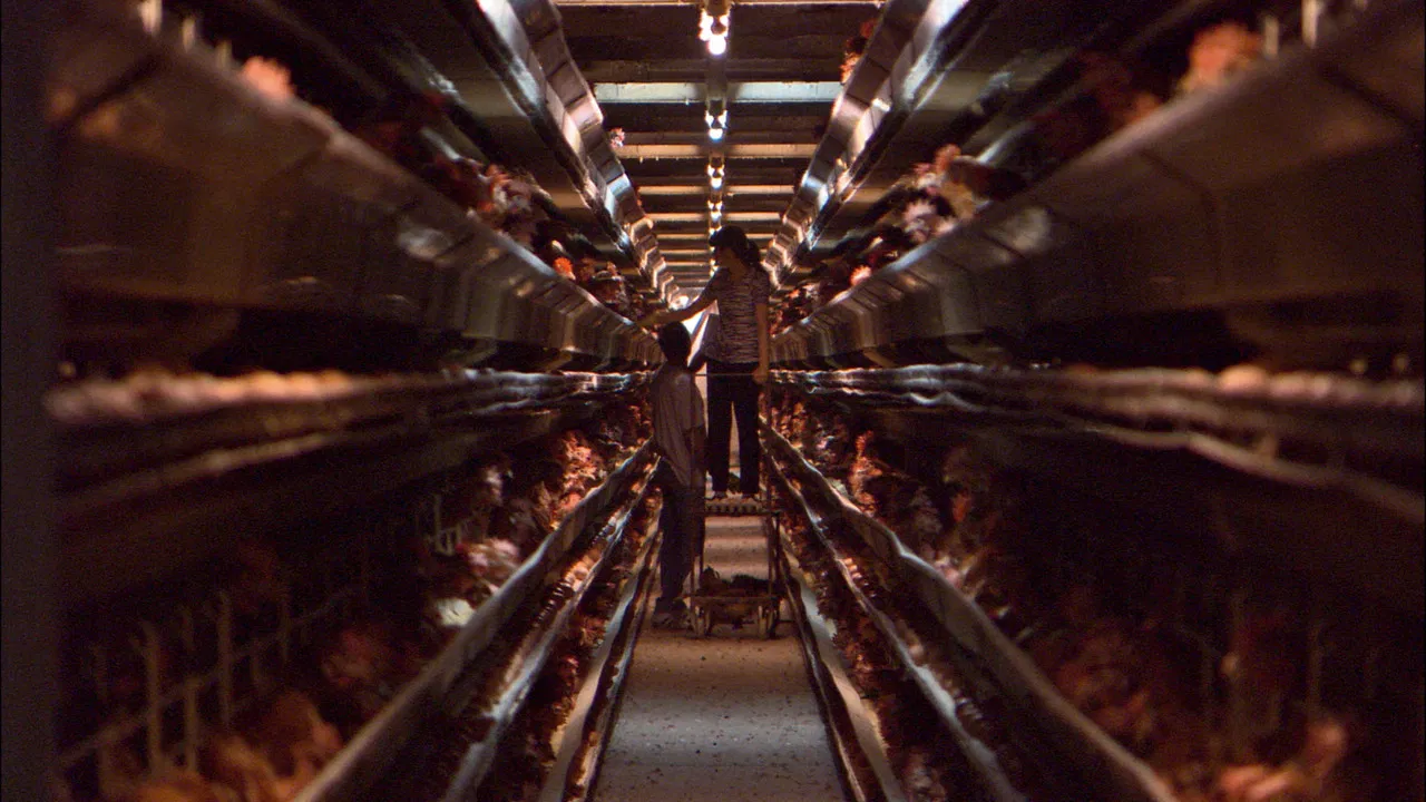 Our Daily Bread backdrop