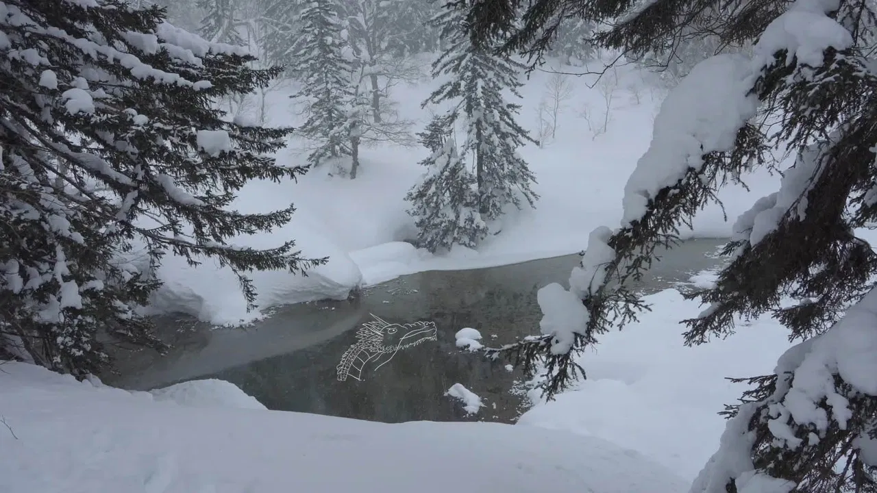 Do you hear the wind in the pine trees? backdrop