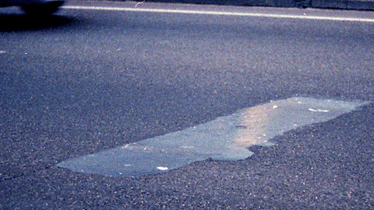 Every Document of Civilization backdrop