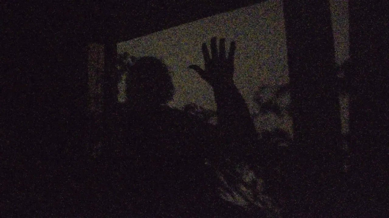 A garden of shadows backdrop