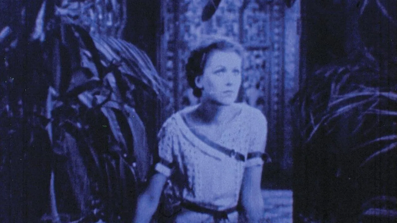 Rose Hobart backdrop