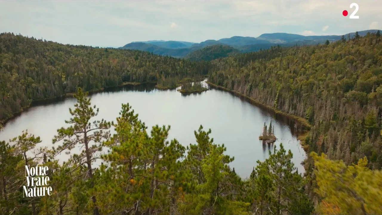 Notre vraie nature backdrop