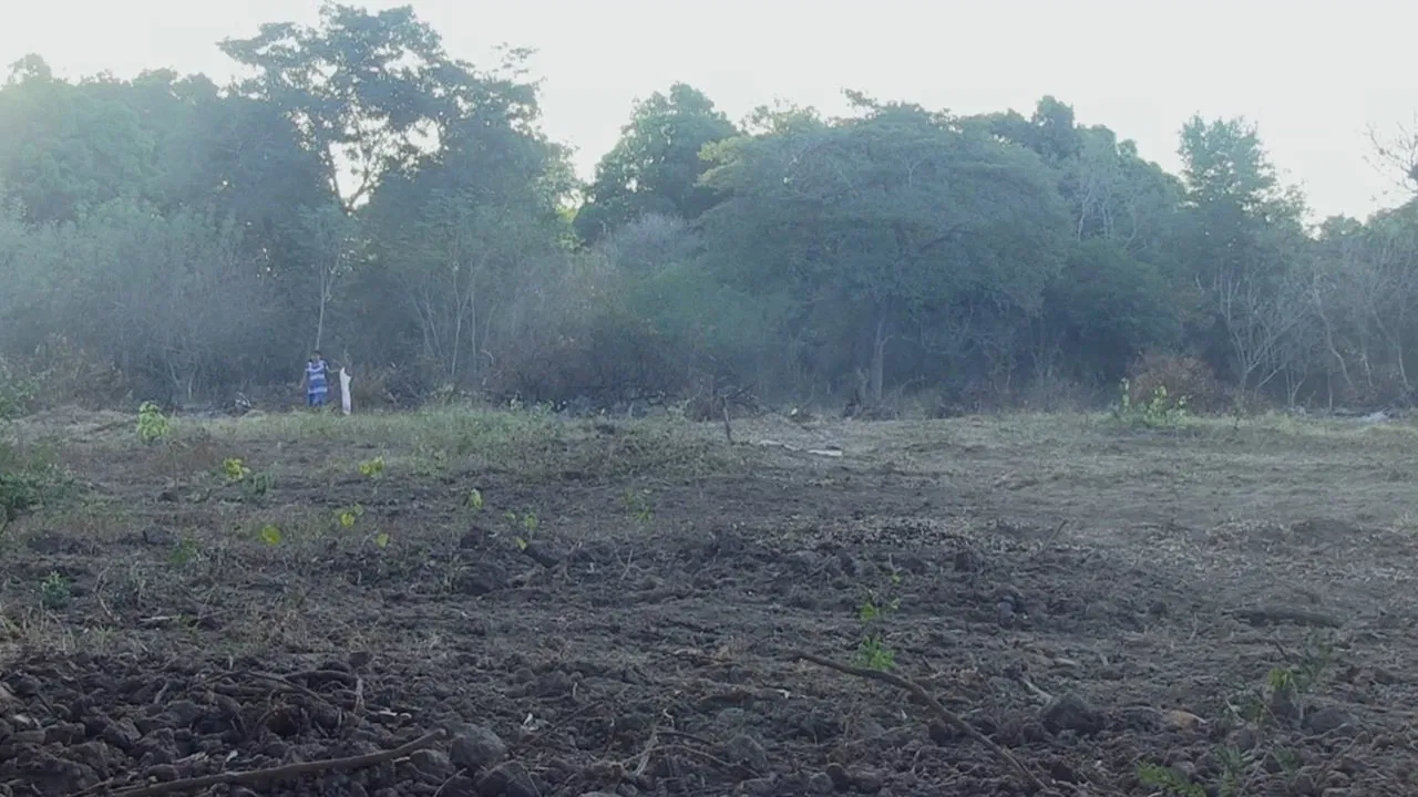 We Are Always Walking backdrop