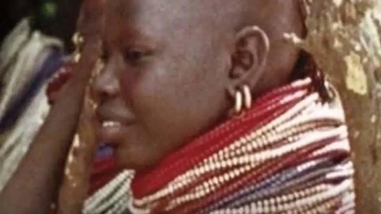 The Wedding Camels backdrop