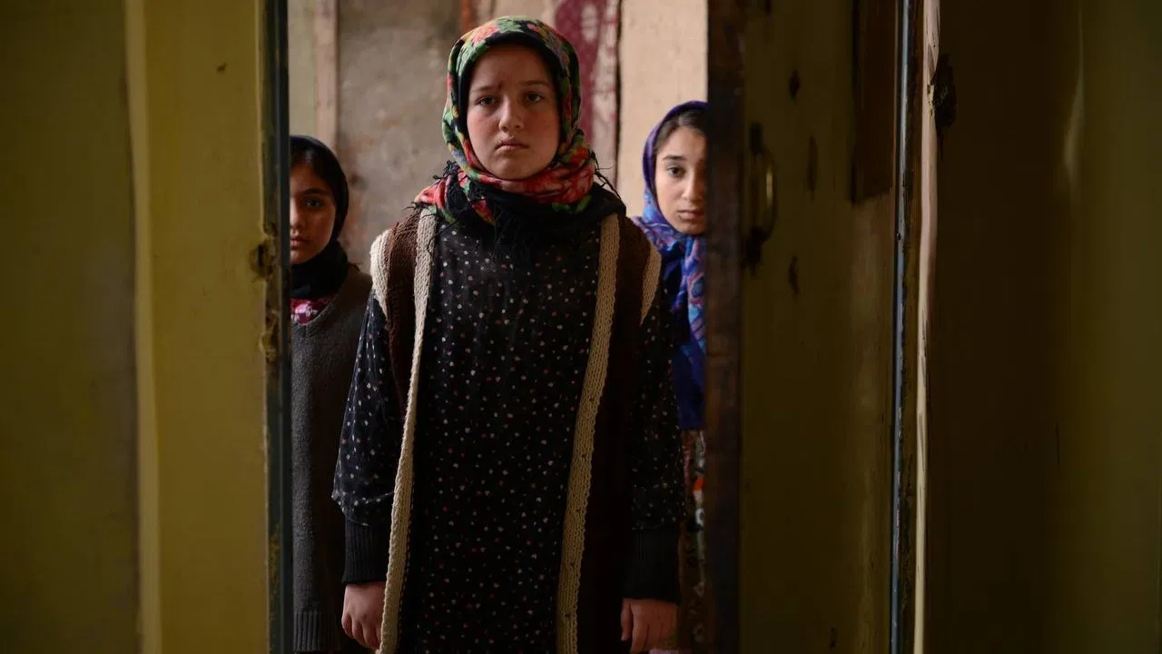 Black Scarf backdrop