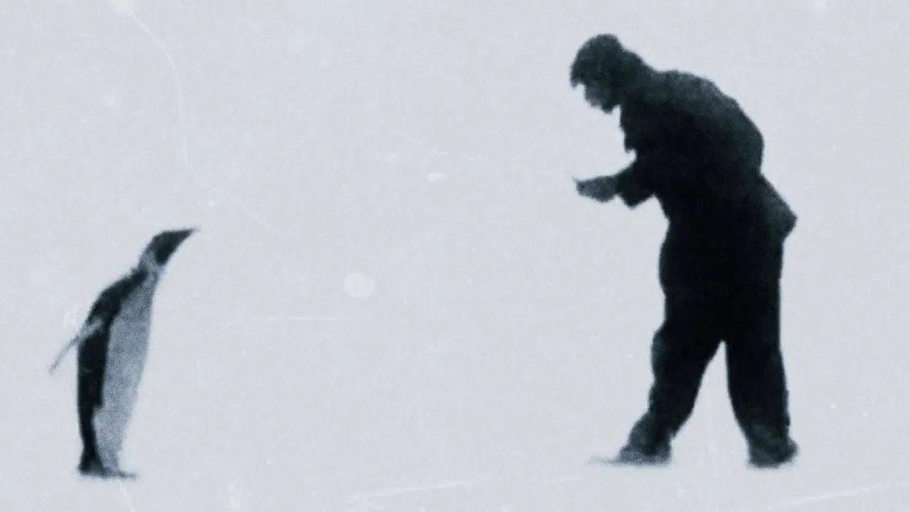 Bestiaries, Herbaria, Lapidaries backdrop