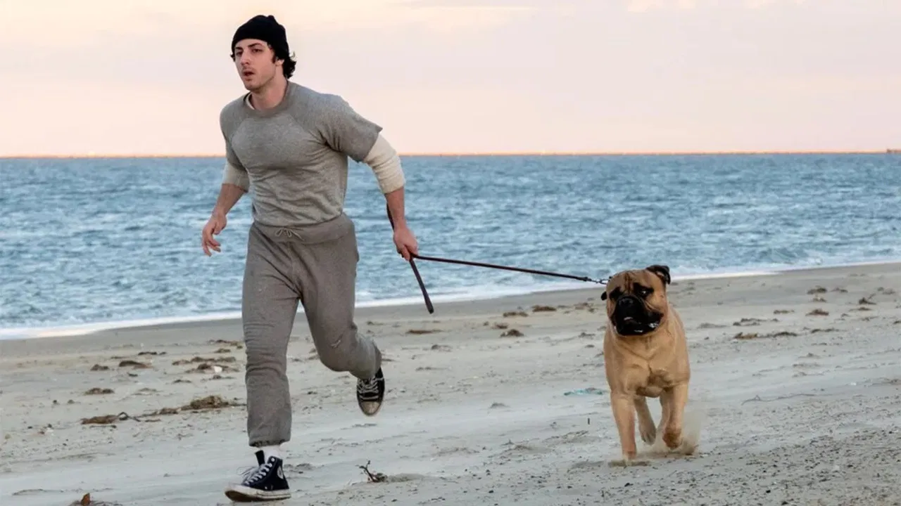 I Play Rocky backdrop