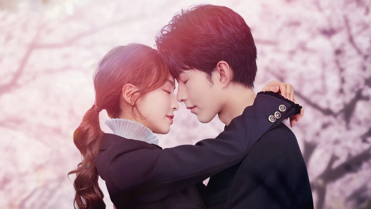 Warm Meet You backdrop