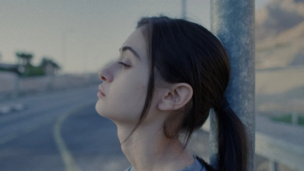 Of Dogs and Men backdrop