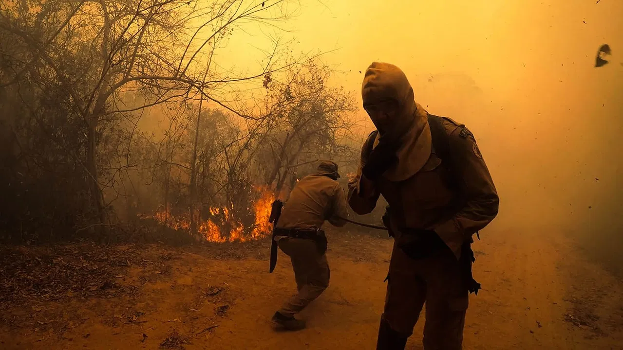 Symphony of Survival backdrop