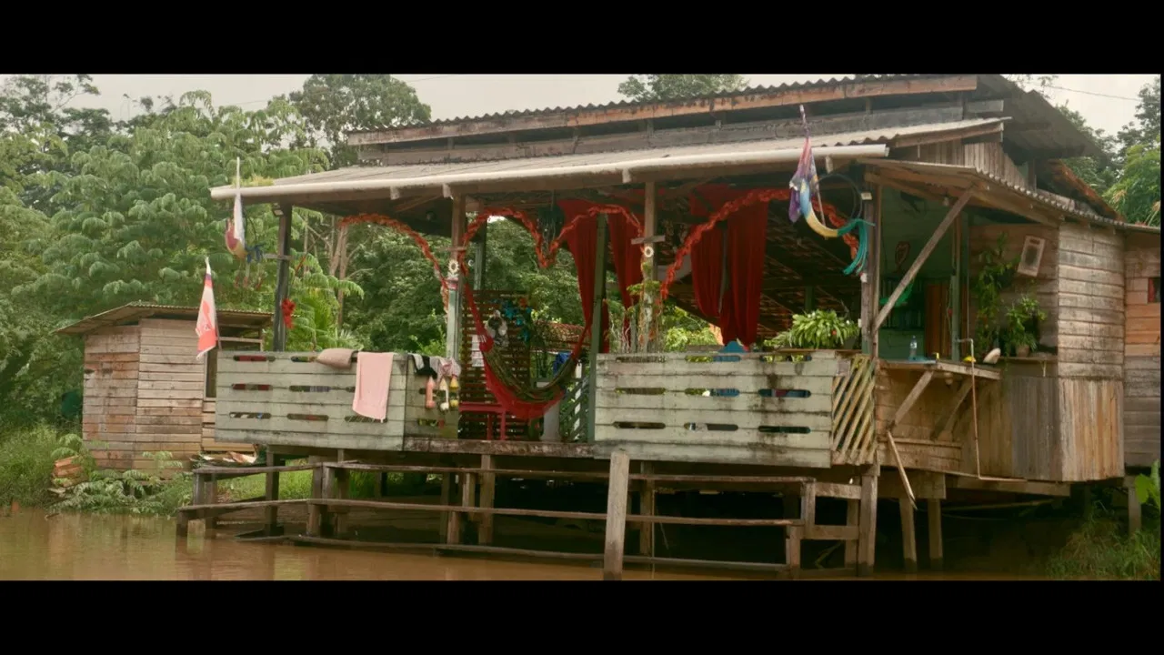 Aos Amigos, A Lei backdrop