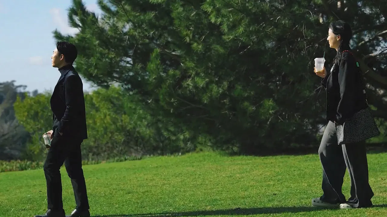 Still Sunset backdrop