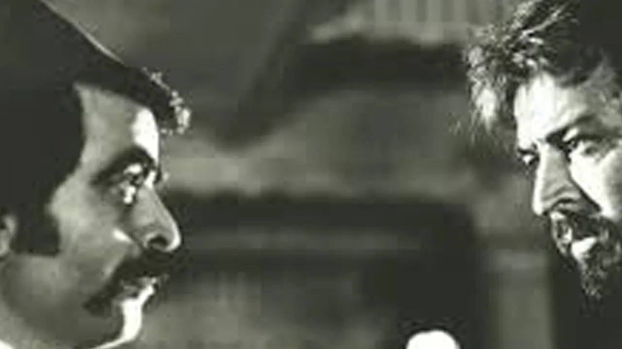 The Night Leopard backdrop