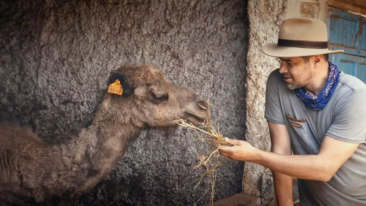 The New Family Member backdrop