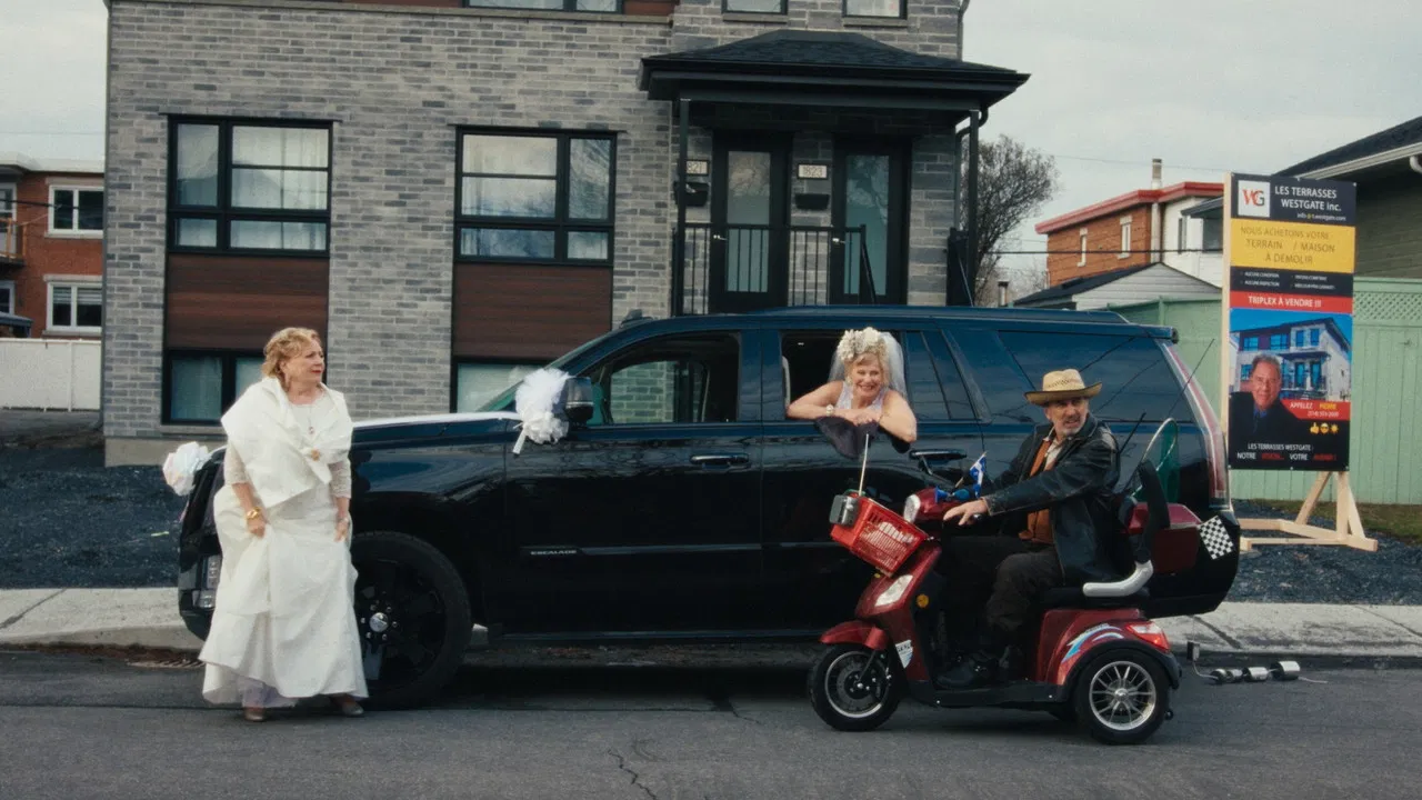 Cardboard City backdrop