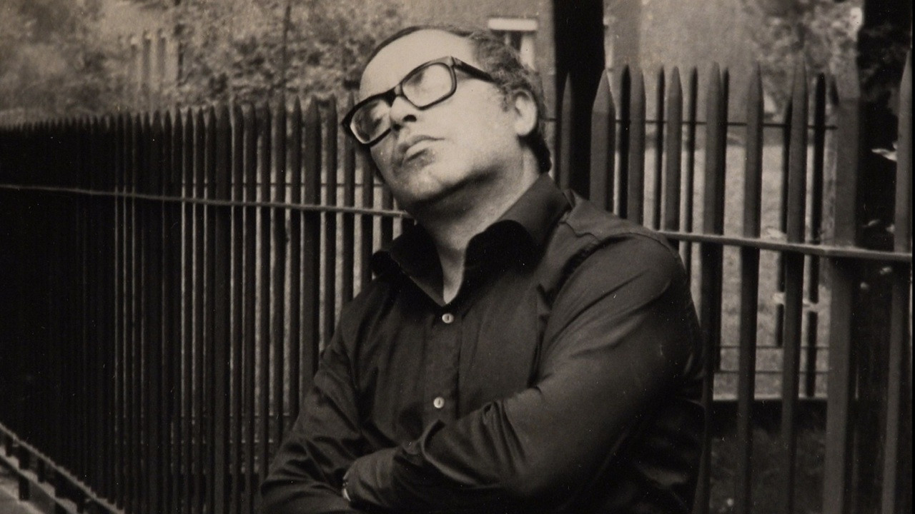 Un milanese a Milano - Walter Valdi backdrop