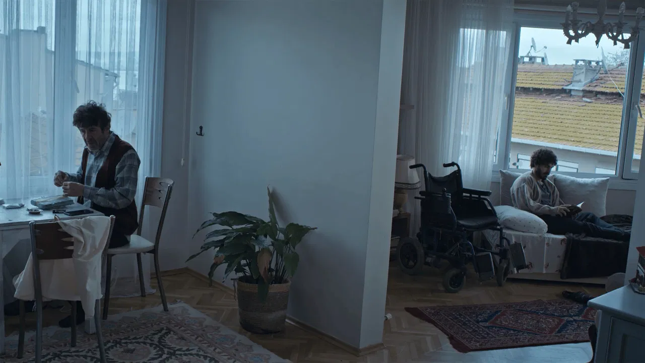 Trees I Remember backdrop