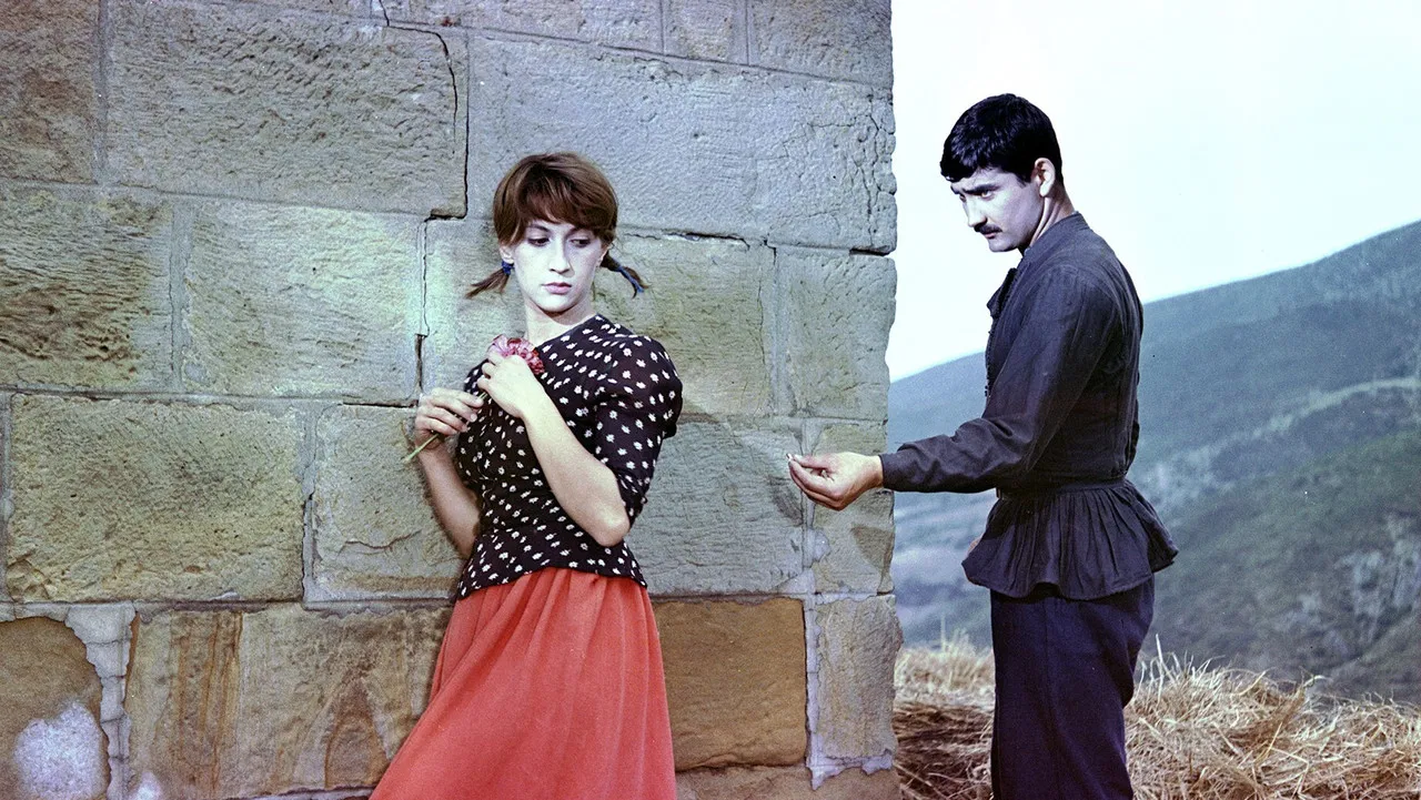 You Can't See What You Have Seen backdrop