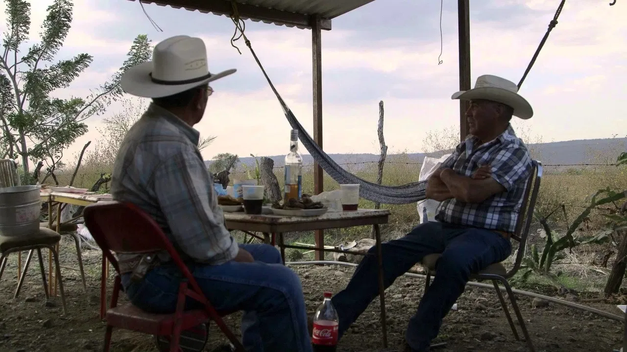 The Solitude of Memory backdrop