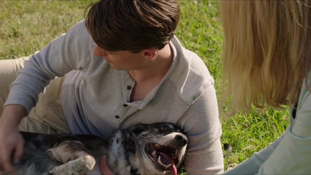 Alex & the List backdrop