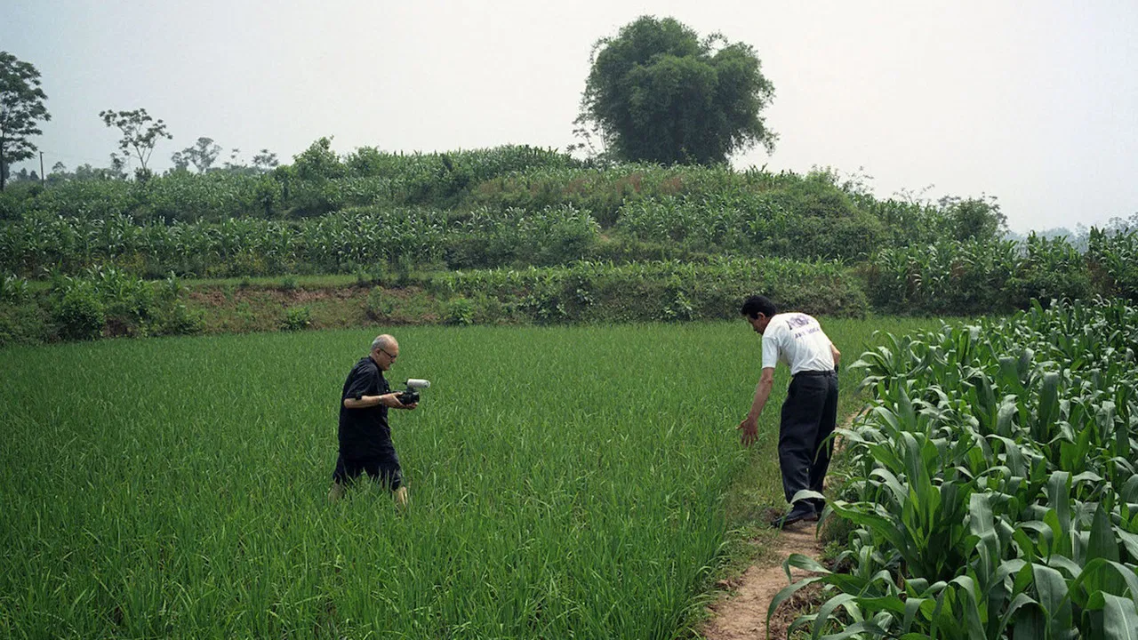 From Somewhere To Nowhere backdrop