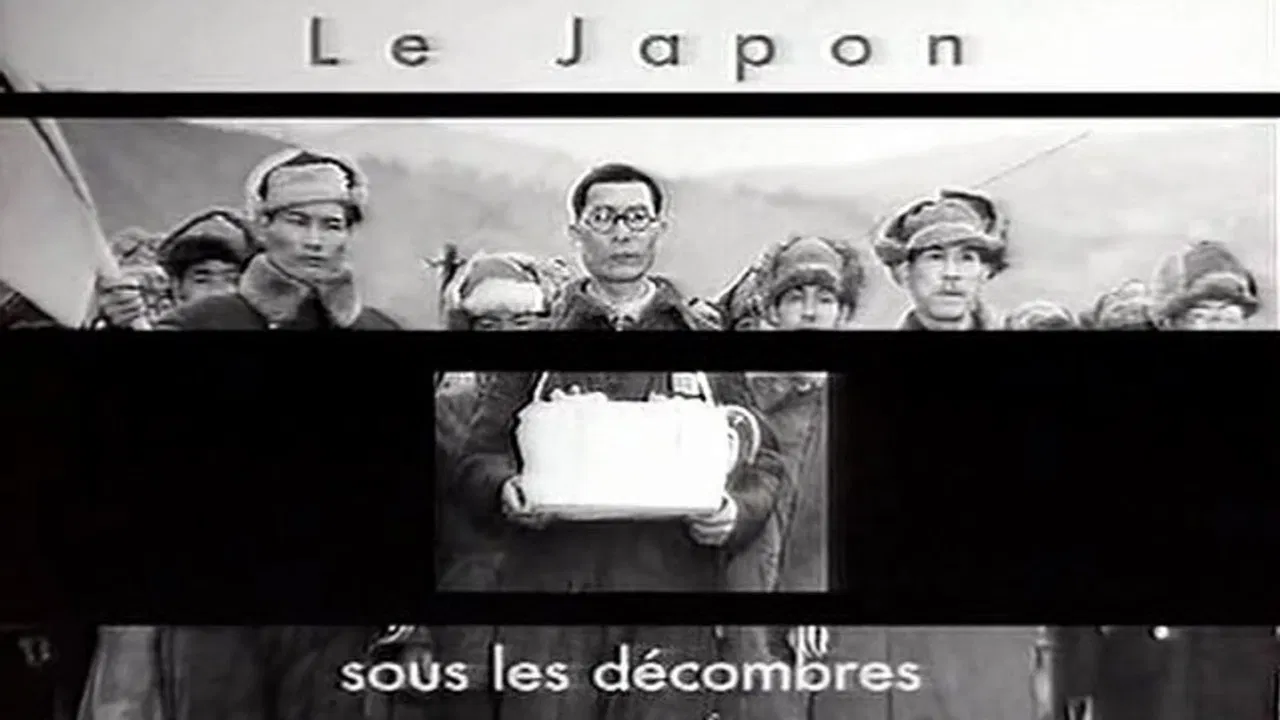 Le Japon sous les décombres backdrop