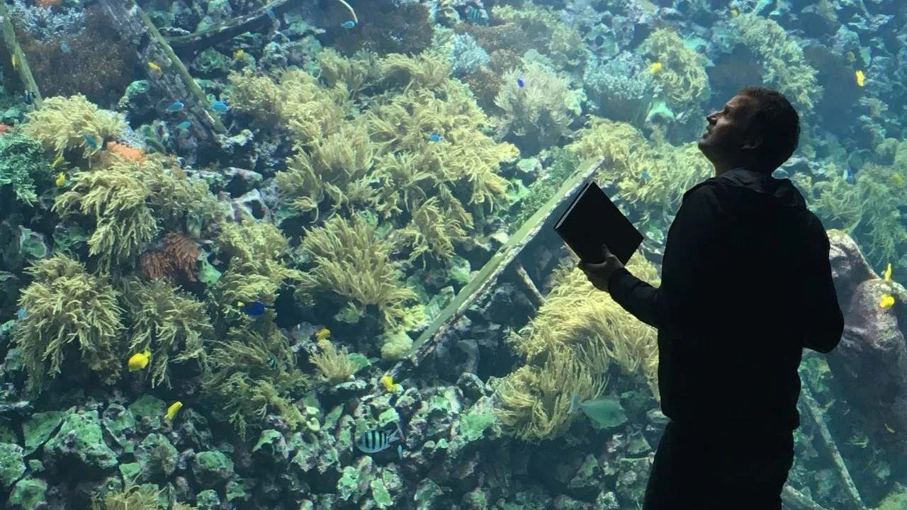 Leve de Zoo! backdrop