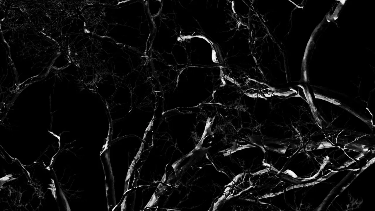 Dreams, Confessions and The End Of The World backdrop