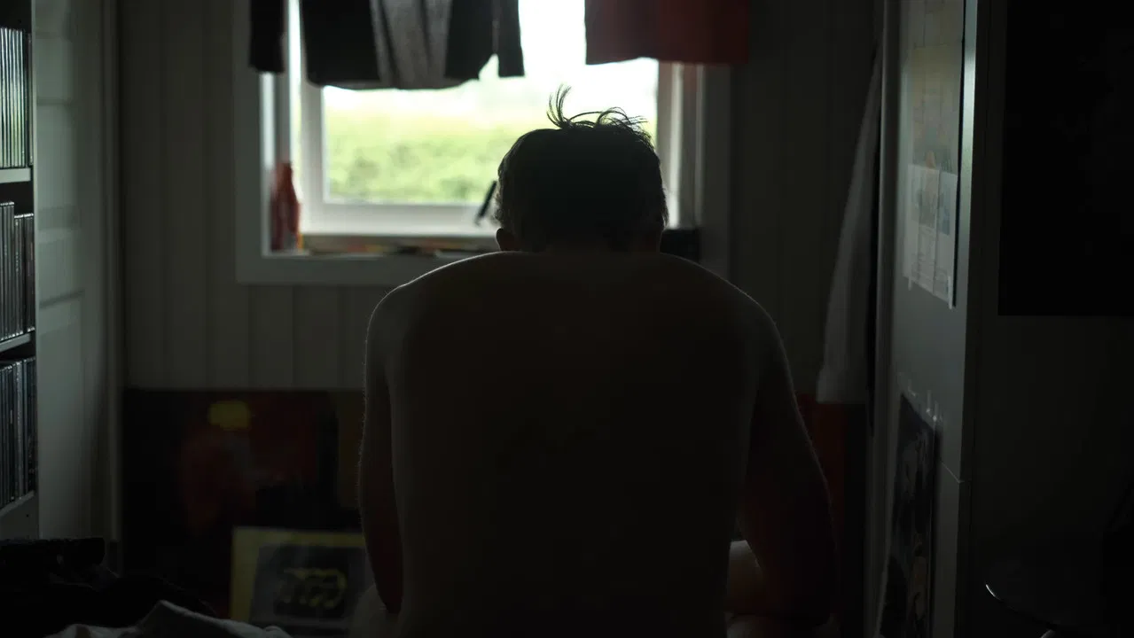 Grayfly Demo backdrop