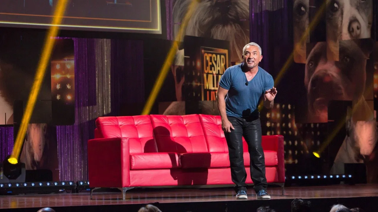 Cesar Millan: Viva Las Vegas! backdrop