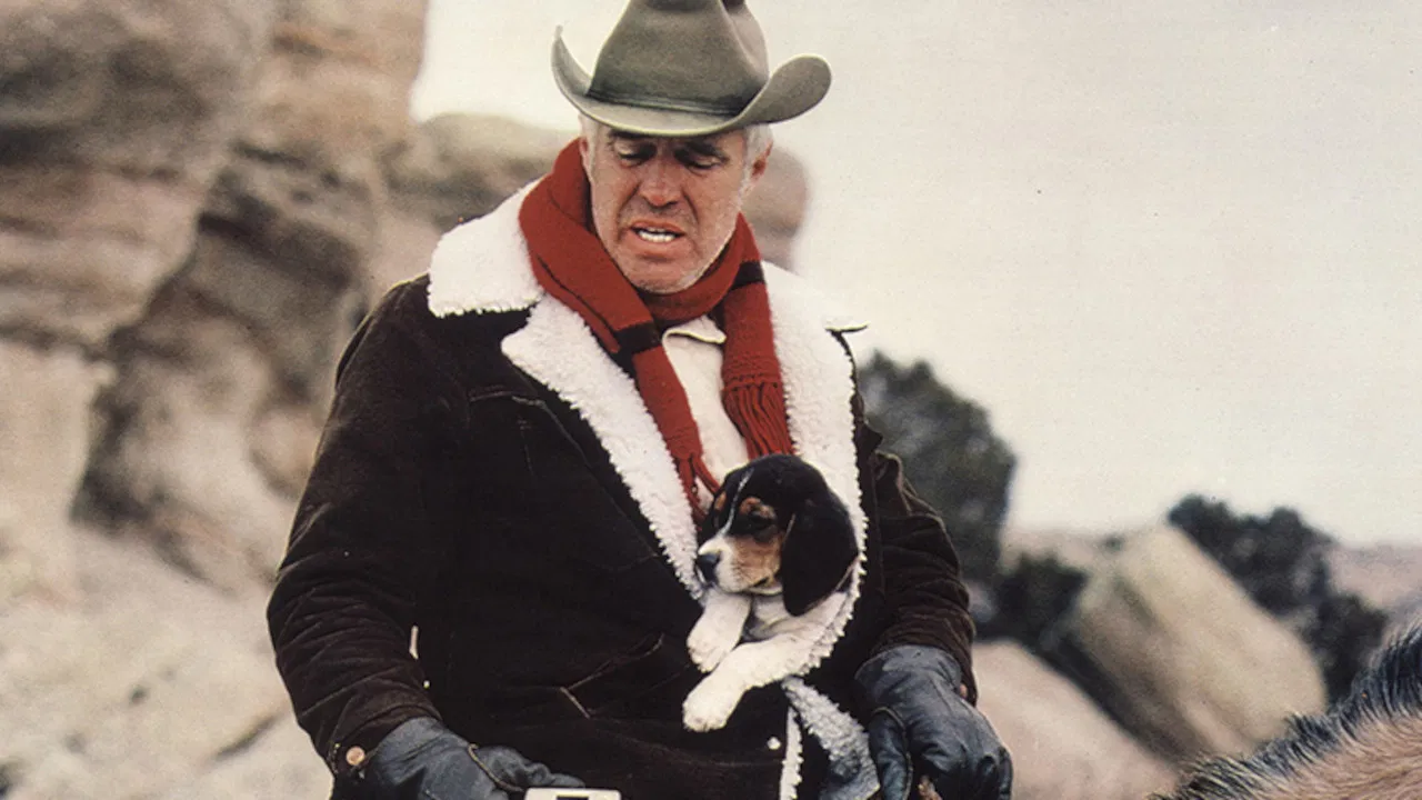 Five Days from Home backdrop