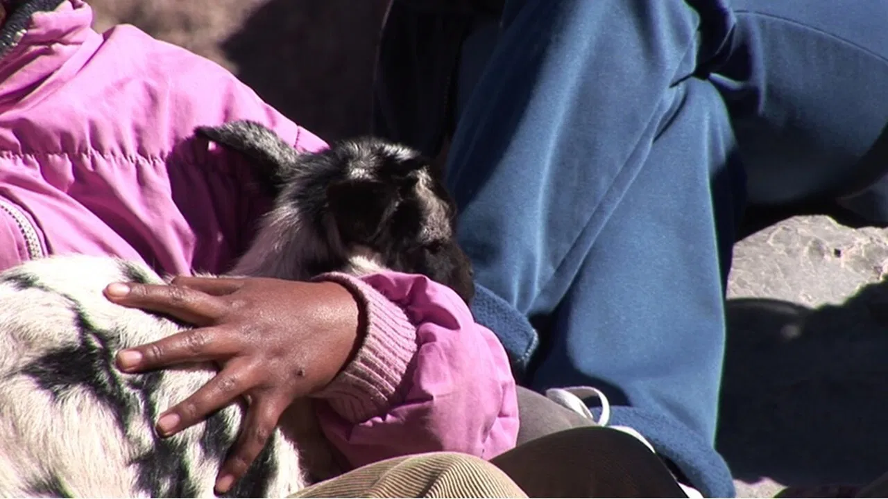 Nueva Argirópolis backdrop