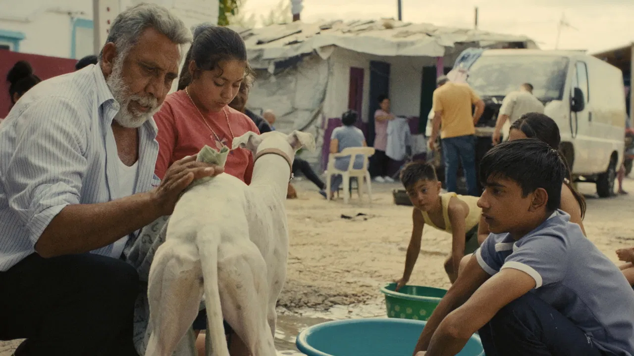 Sleepless City backdrop