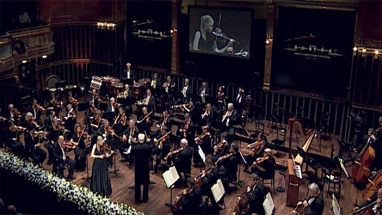 Hegedűország.hu backdrop