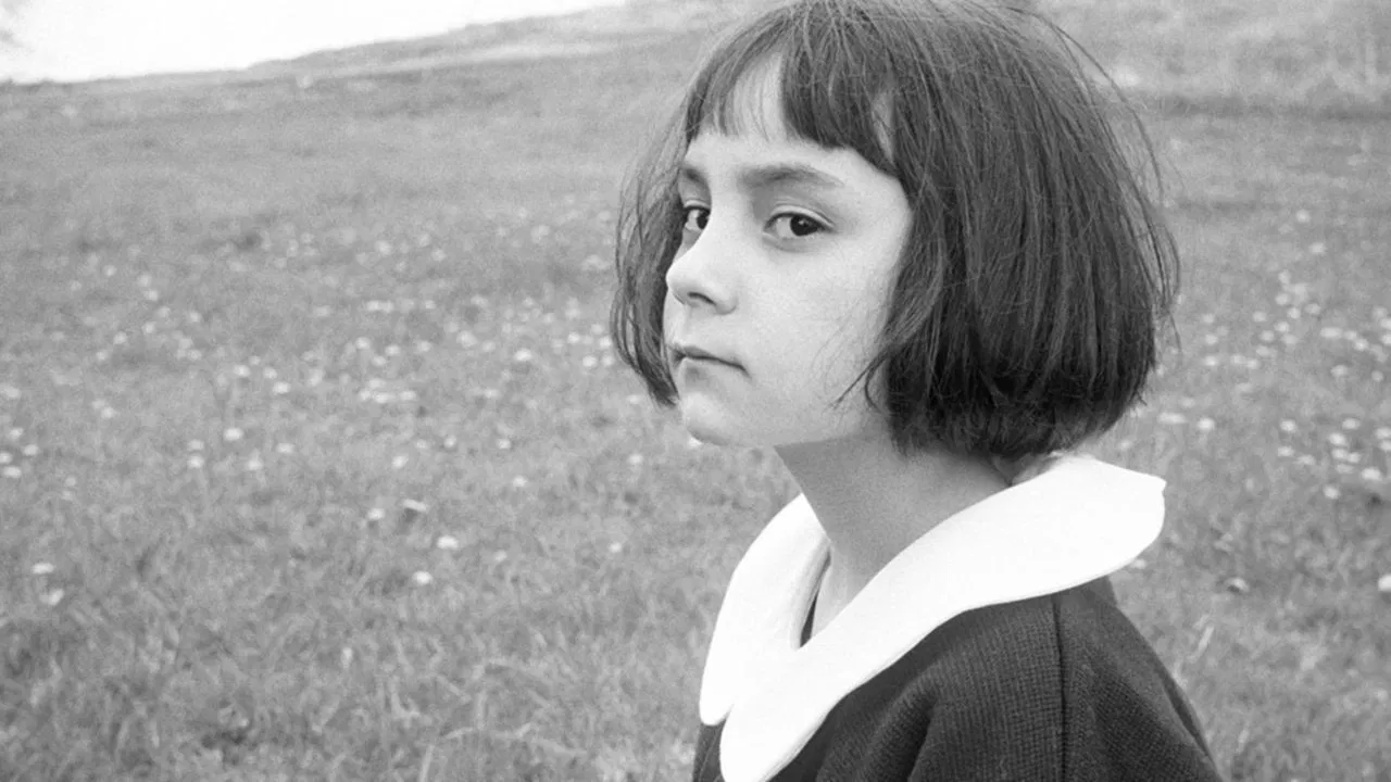 When All the Leaves Are Gone backdrop