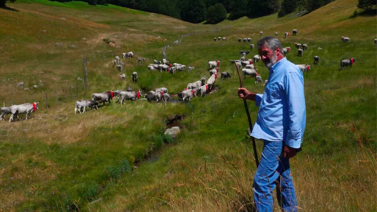 Figli del Minotauro / Storie di Uomini e Animali backdrop