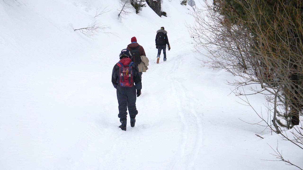 The Milky Way backdrop