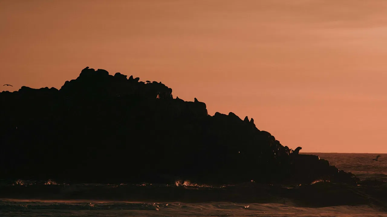 The Dawn of the Ancients backdrop