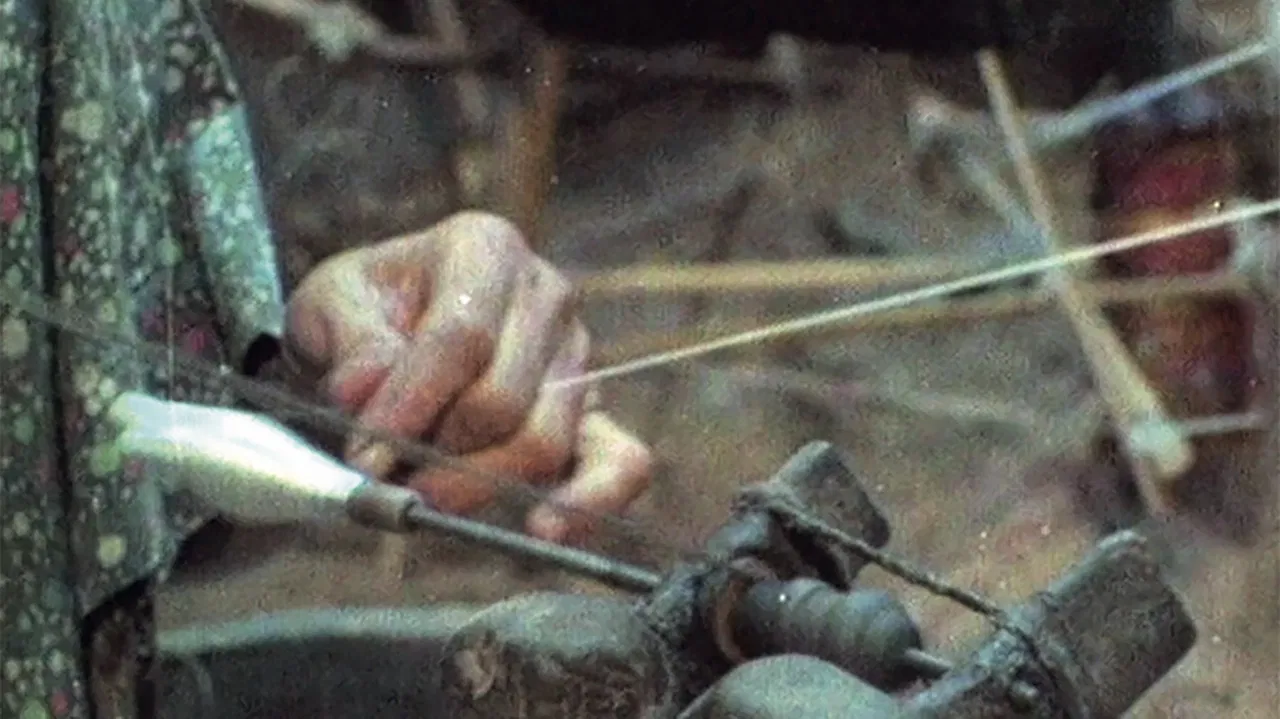 Rhythm of Life backdrop