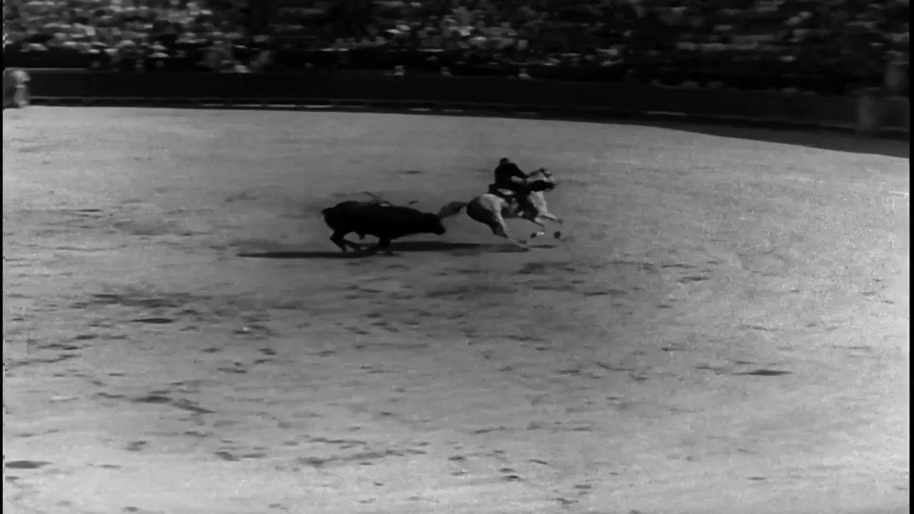 Yo he visto a la muerte backdrop