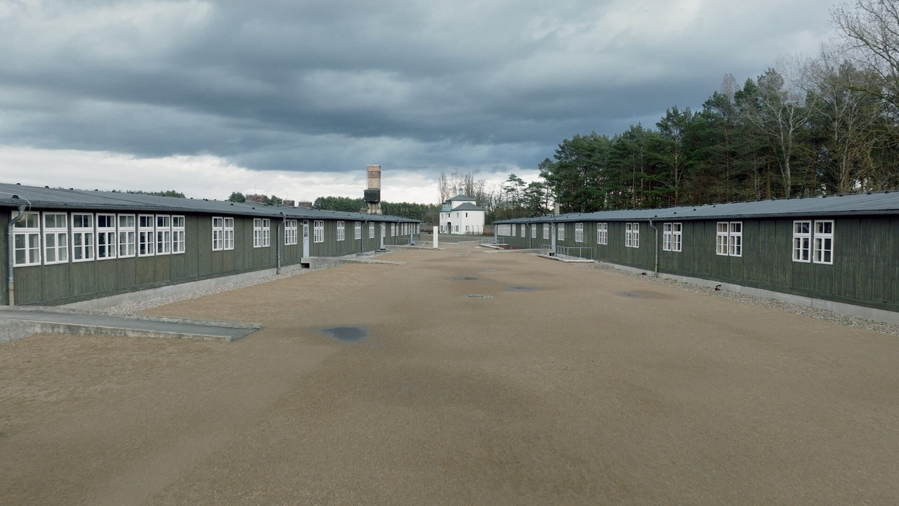 Pink Triangles, Homosexuals Facing Nazism backdrop