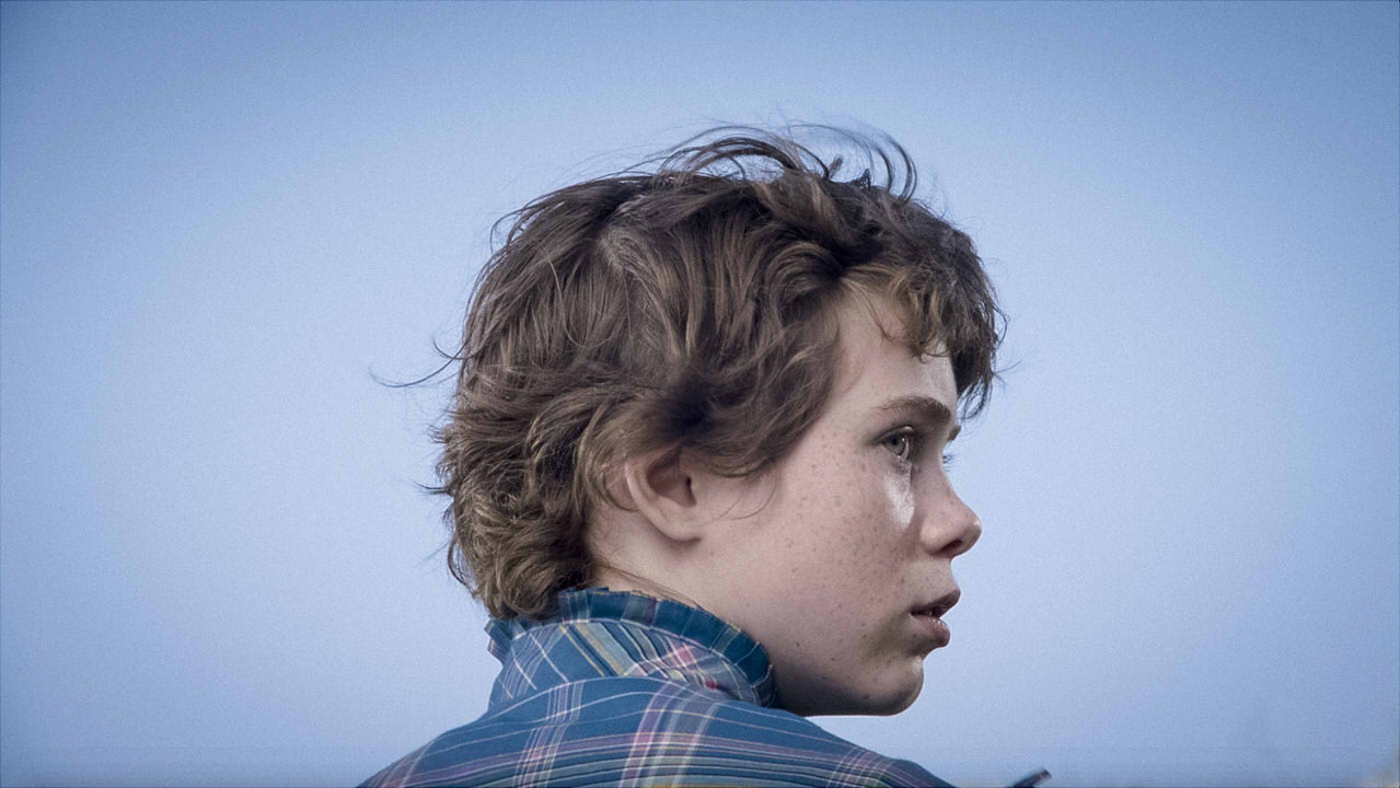 Tiny Mammals backdrop