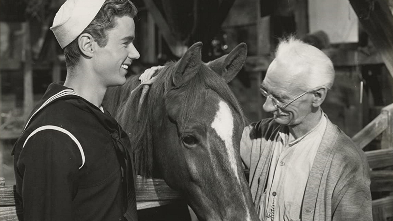 Gallant Bess backdrop