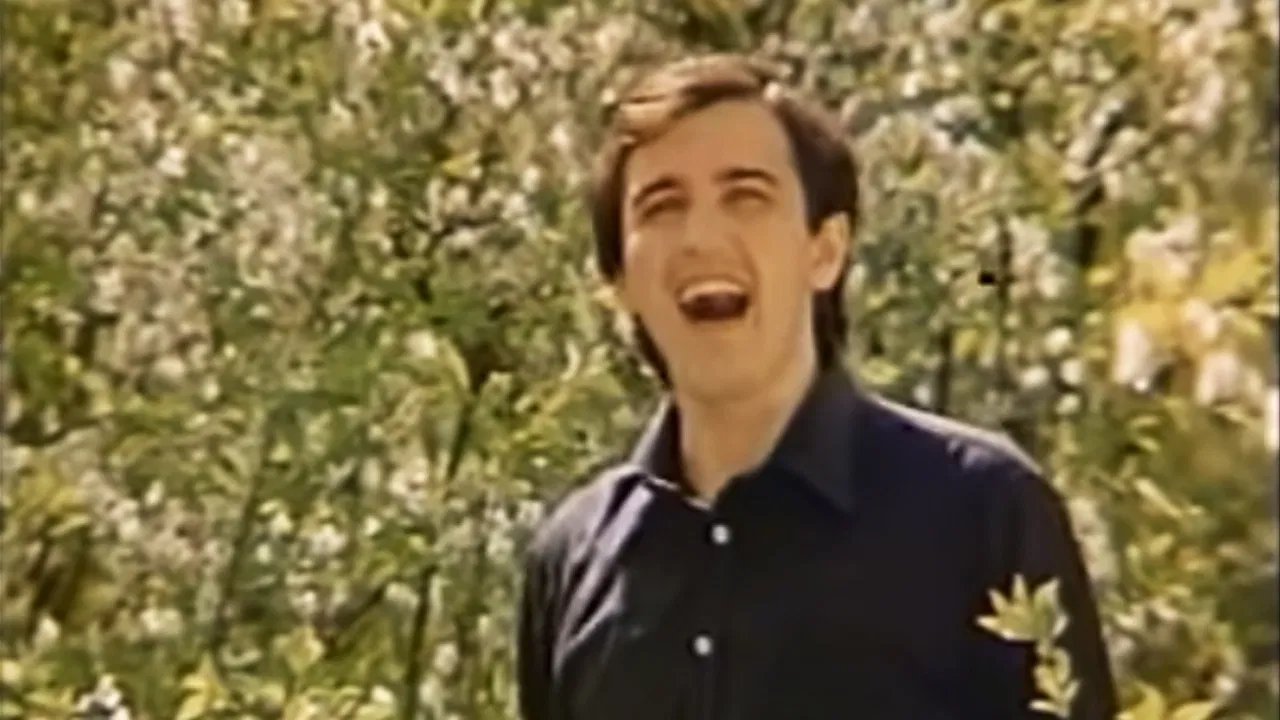 Chervona Ruta. Ten Years Later backdrop