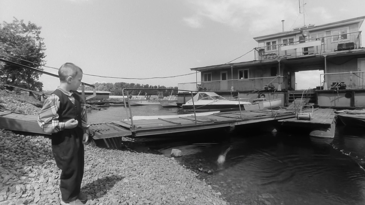 Daoist Looking Back backdrop